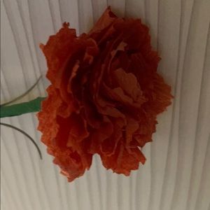 Meet your Posher, Elayne